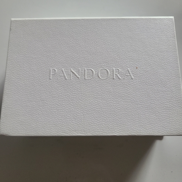 New Pandora Cleaning Kit - Picture 1 of 7